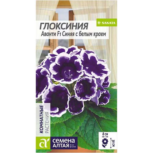 Глоксиния Аванти синяя с белым краем F1 Семена Алтая изображение 1 артикул 81657