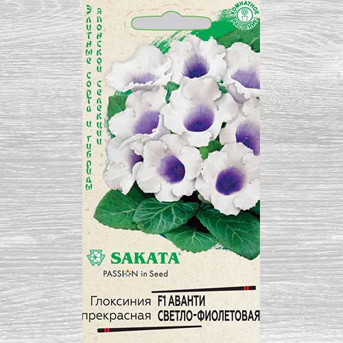 Глоксиния Аванти светло-фиолетовая F1 Гавриш изображение 1 артикул 82362