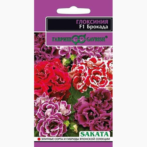 Глоксиния Брокада F1, смесь окрасок изображение 1 артикул 71174