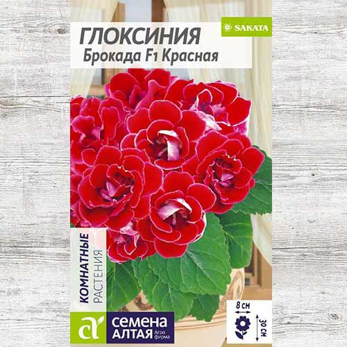 Глоксиния Брокада красная F1 изображение 1 артикул 81660