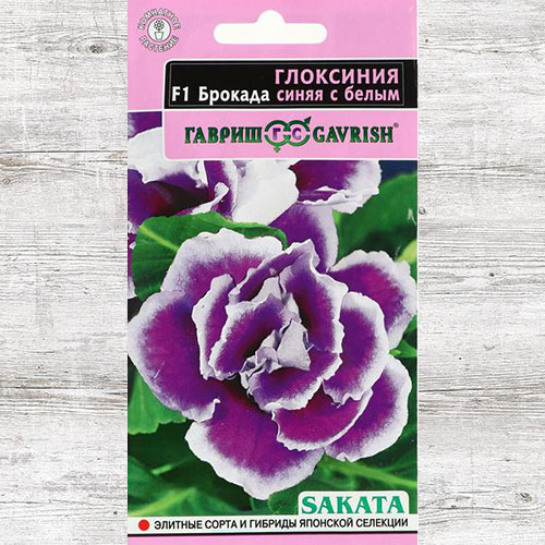 Глоксиния Брокада синяя с белым F1 Гавриш изображение 1 артикул 82365