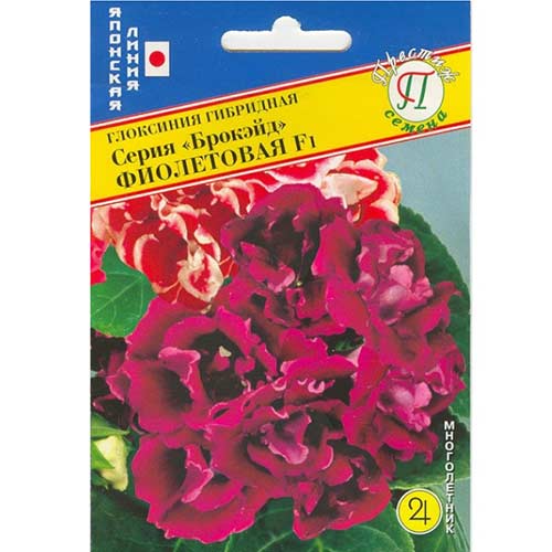 Глоксиния Брокэйд фиолетовая F1 Престиж изображение 1 артикул 71439