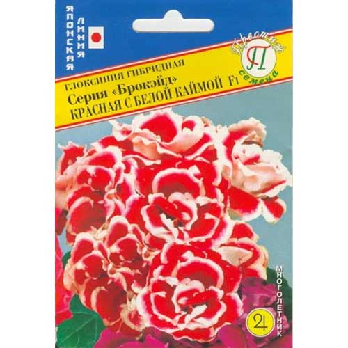 Глоксиния Брокэйд красная с белой каймой F1 Престиж артикул фото 1 Глоксиния Брокэйд красная с белой каймой F1 Престиж изображение 1 артикул 71437