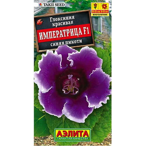 Глоксиния Императрица синяя пикоти F1 Аэлита артикул фото 1 Глоксиния Императрица синяя пикоти F1 Аэлита изображение 1 артикул 98943
