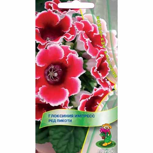 Глоксиния Импресс Ред Пикоти Поиск изображение 1 артикул 97873