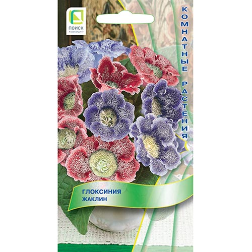 Глоксиния Жаклин, смесь окрасок изображение 1 артикул 92950