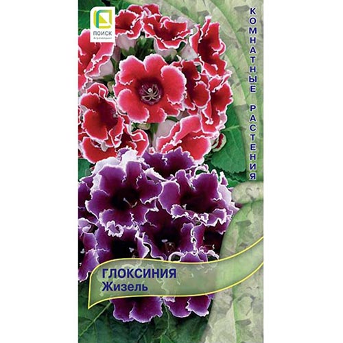 Глоксиния Жизель, смесь окрасок изображение 1 артикул 92951