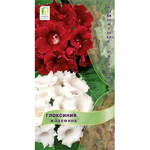 Глоксиния Жозефина, смесь окрасок изображение 1 артикул 92952