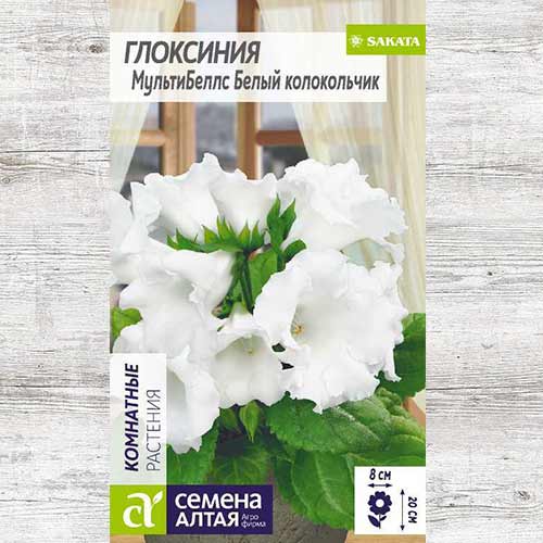 Глоксиния МультиБеллс Белый колокольчик изображение 1 артикул 81662