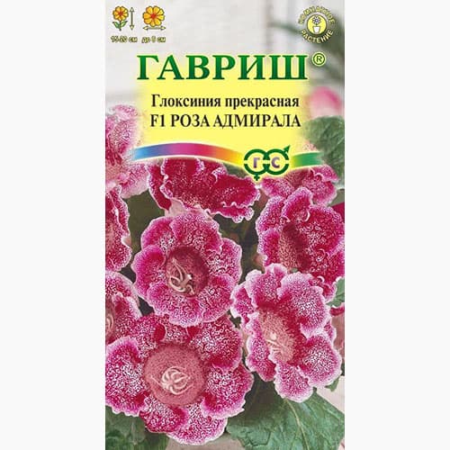 Глоксиния прекрасная Роза адмирала F1 Гавриш изображение 1 артикул 97675