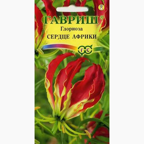 Глориоза великолепная Сердце Африки Гавриш изображение 1 артикул 97676