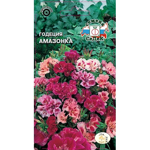 Годеция Амазонка, смесь окрасок изображение 1 артикул 93752