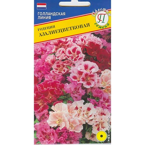 Годеция азалиецветковая, смесь окрасок Престиж изображение 1 артикул 71441