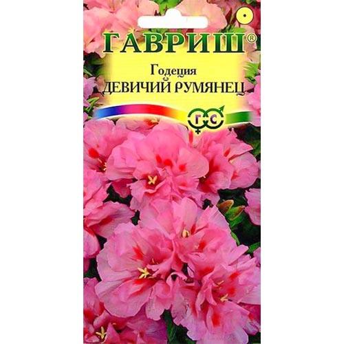 Годеция Девичий румянец, семена изображение 1 артикул 92021