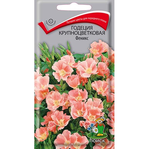Годеция Феникс, семена изображение 1 артикул 92958