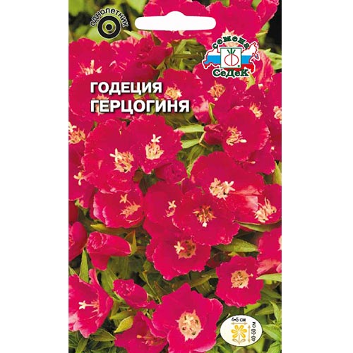 Годеция Герцогиня, семена изображение 1 артикул 93756