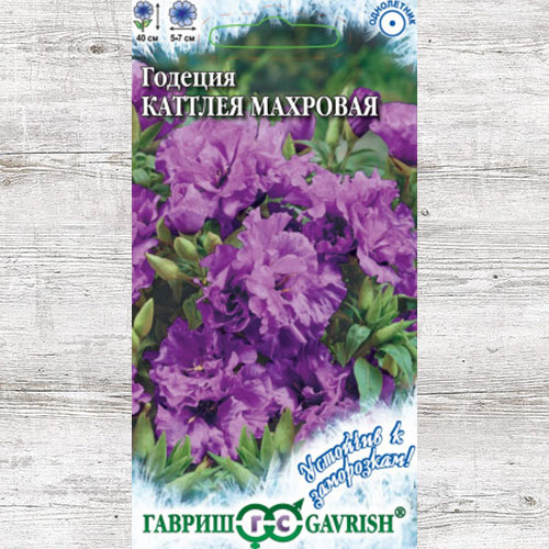 Годеция Каттлея махровая Гавриш изображение 1 артикул 73833