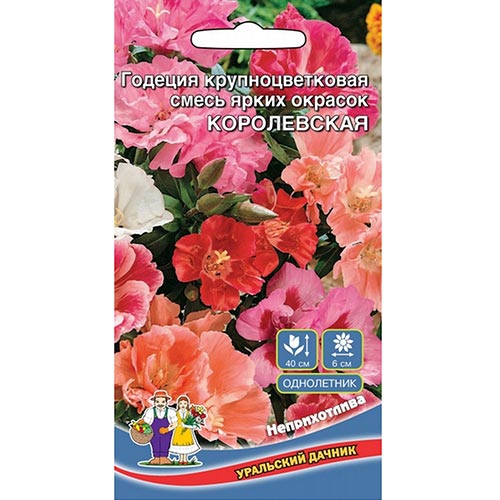 Годеция Королевская, смесь окрасок изображение 1 артикул 94788