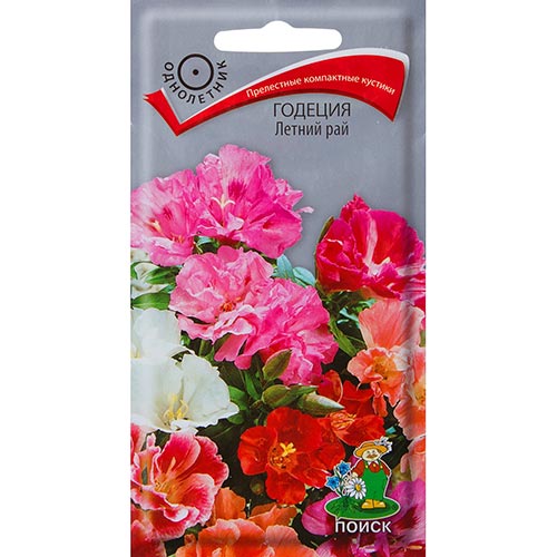 Годеция Летний рай, смесь окрасок изображение 1 артикул 92956