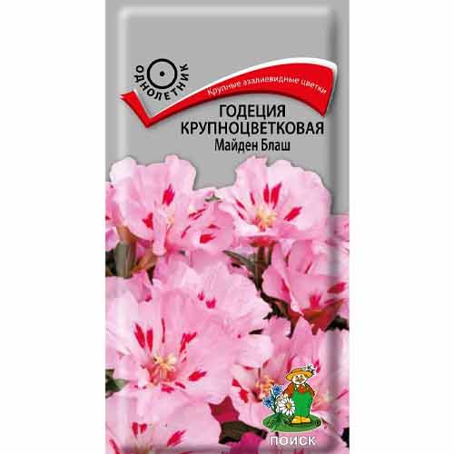 Годеция крупноцветковая Майден Блаш Поиск артикул фото 1 Годеция крупноцветковая Майден Блаш Поиск изображение 1 артикул 82116