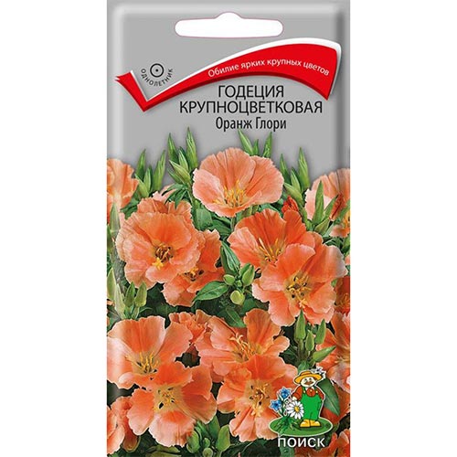 Годеция Оранж Глори, семена изображение 1 артикул 92957