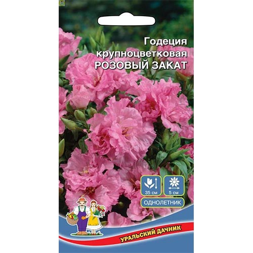 Годеция Розовый закат, семена изображение 1 артикул 94789