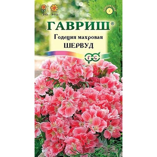 Годеция Шервуд, семена изображение 1 артикул 92024