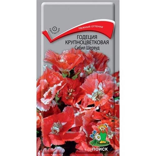 Годеция Сибил Шервуд Поиск изображение 1 артикул 82117