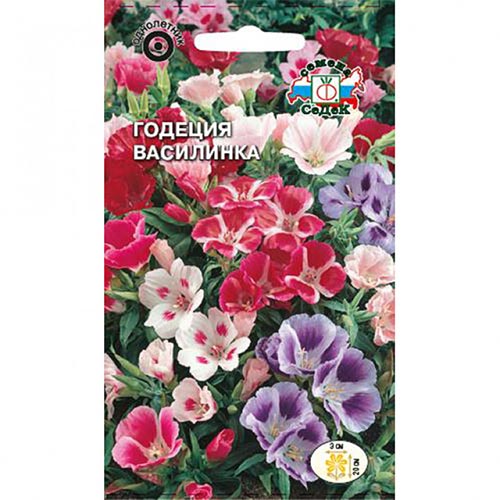 Годеция Василинка, смесь окрасок изображение 1 артикул 93753