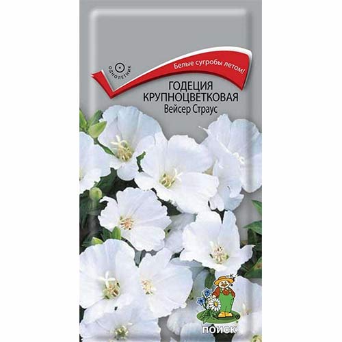 Годеция Вейсер Страус Поиск изображение 1 артикул 82115