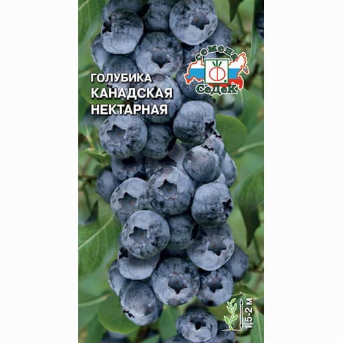 Голубика канадская Нектарная Седек изображение 1 артикул 84935