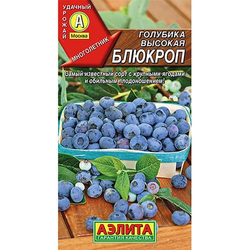 Голубика высокая Блюкроп Аэлита изображение 1 артикул 98211