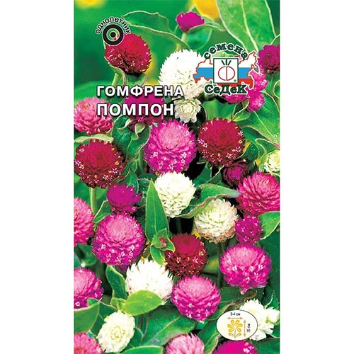 Гомфрена Помпон, смесь окрасок изображение 1 артикул 93758
