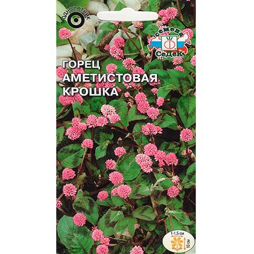 Горец Аметистовая крошка, семена артикул фото 1 Горец Аметистовая крошка, семена изображение 1 артикул 93759