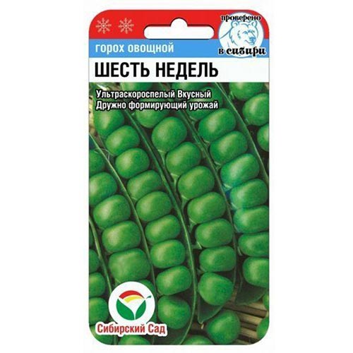 Горох 6 недель Сибирский Сад изображение 1 артикул 82798