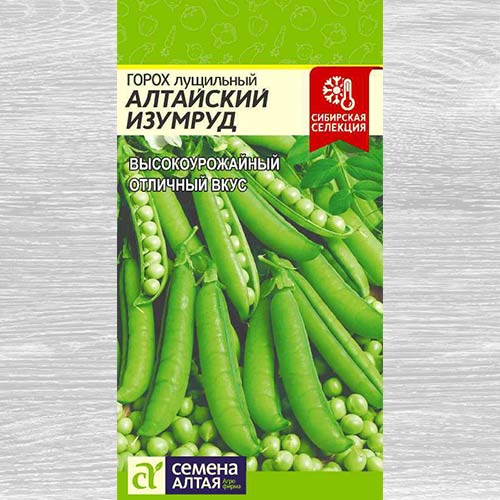 Горох Алтайский изумруд изображение 2 артикул 81454