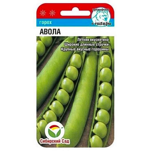 Горох Авола, семена изображение 1 артикул 94323