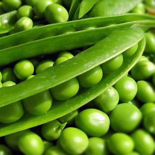 Горох Фаворит Русский огород НК артикул фото 1 Горох Фаворит Русский огород НК изображение 1 артикул 82760