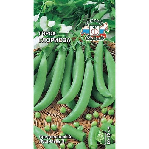 Горох Глориоза, семена изображение 1 артикул 93300