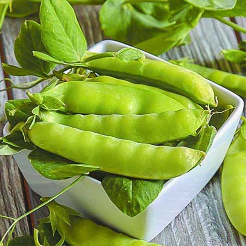 Горох Рахат-Лукум Русский огород НК изображение 1 артикул 82759