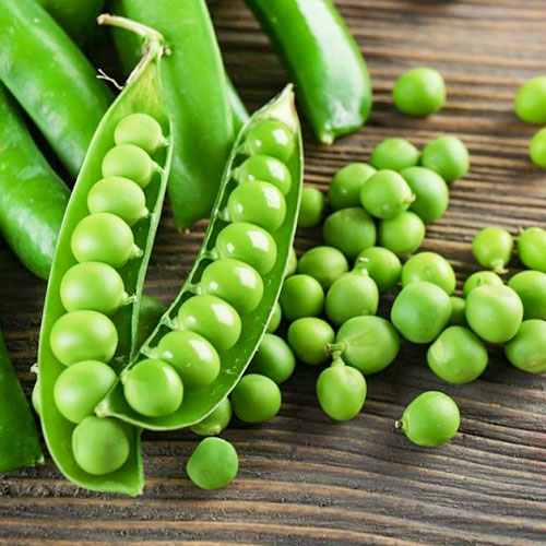 Горох Счастливое детство Уральский дачник изображение 1 артикул 83047