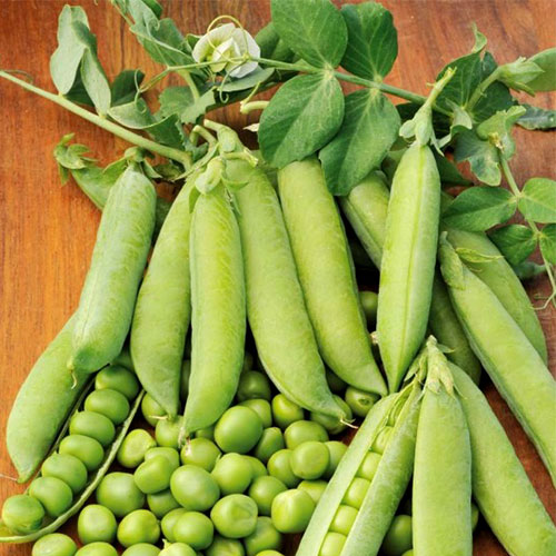 Горох Веселые ребята, семена артикул фото 1 Горох Веселые ребята, семена изображение 1 артикул 5980