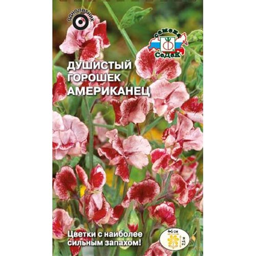 Горошек душистый Американец, семена изображение 1 артикул 93761