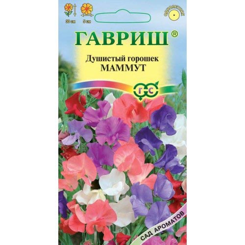 Горошек душистый Маммут, смесь окрасок изображение 1 артикул 92031