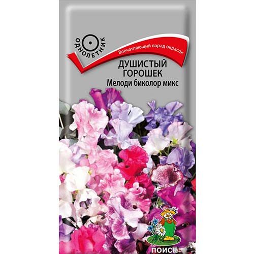 Горошек душистый мелоди биколор, смесь окрасок Поиск изображение 1 артикул 82118