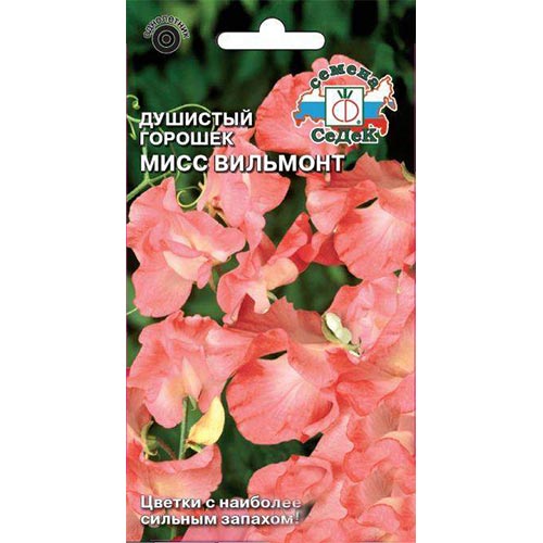 Горошек душистый Мисс Вильмонт, семена изображение 1 артикул 93762