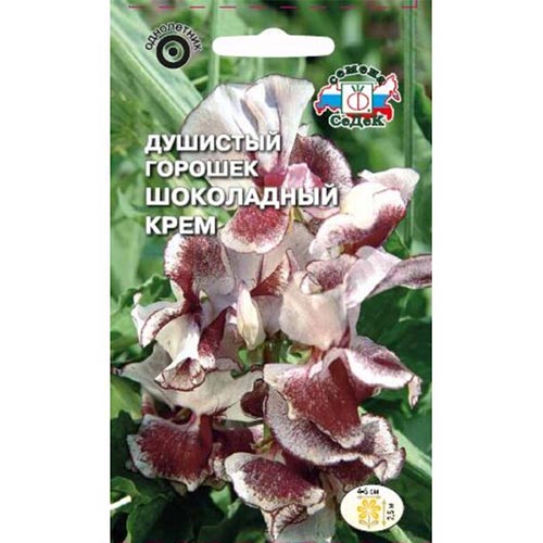 Горошек душистый Шоколадный крем, семена изображение 1 артикул 93764