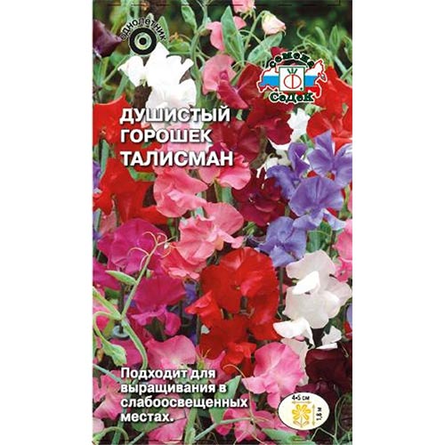 Горошек душистый Талисман, смесь окрасок изображение 1 артикул 93763