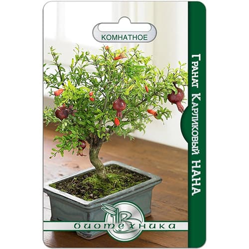 Гранат карликовый Нана Биотехника изображение 1 артикул 74083