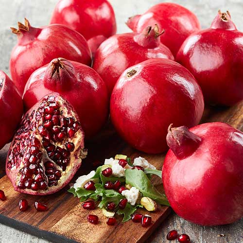 Гранат Никитский ранний изображение 1 артикул 4175